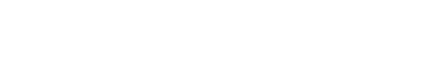 nexcargoexpress.com